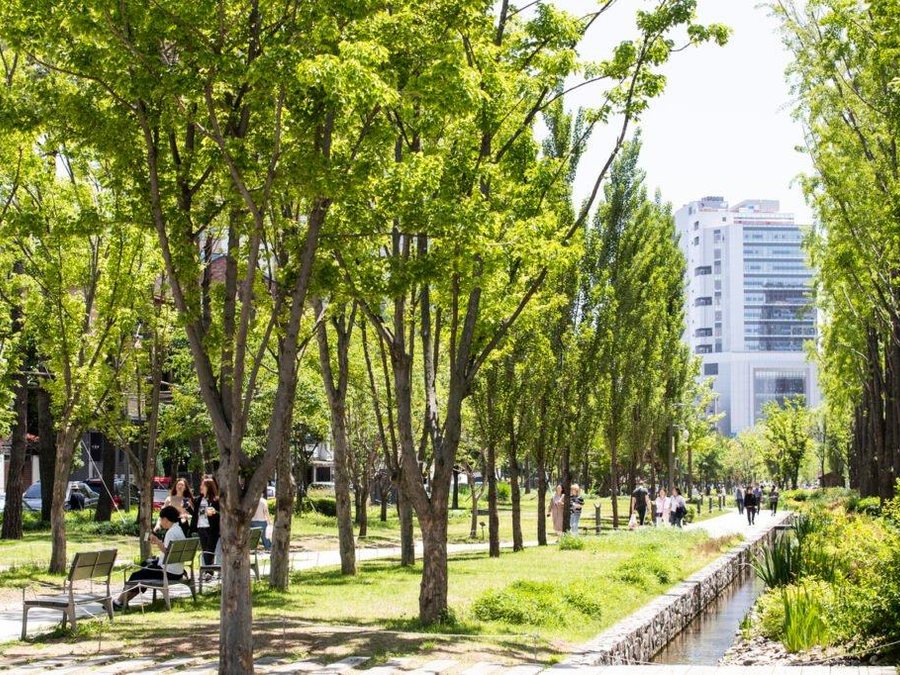 Yeonnam-dong Gyeongui Line Forest Trail